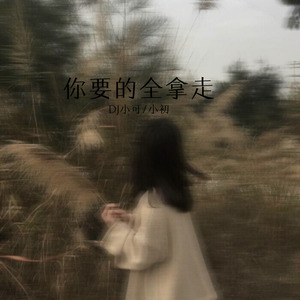 苏可可 - 你要的全拿走 (Remix)