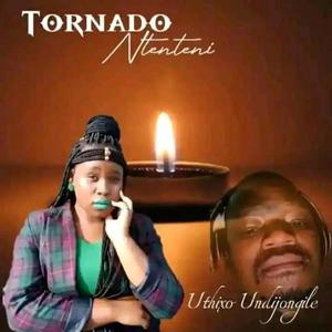 UTHIXO UNDIJONGILE