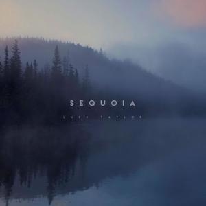 Sequoia