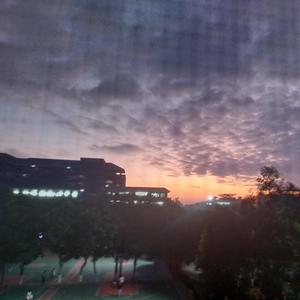 红南京 (prod.kos)