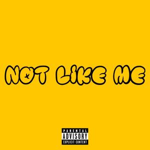 Not Like Me (Explicit)