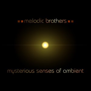 Mysterious Senses of Ambient
