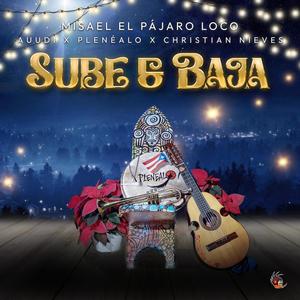 Sube y Baja (feat. Auudi, Plenealo & Christian Nieves)