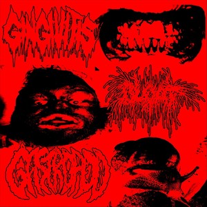 Rotted Roots, Bloated Gums