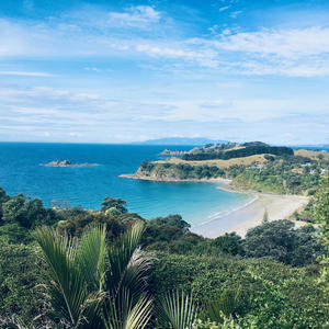 David Coppafeel (Explicit)