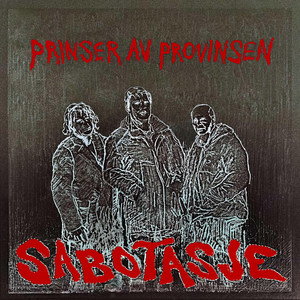 Prinser av provinsen