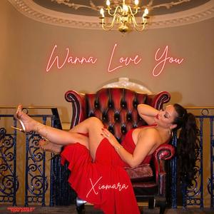 Wanna Love You