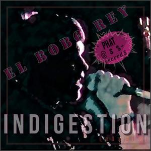 INDIGESTION (feat. Phunk Masta Phat, 9CN & Phat A$$ Record$) [single] [Explicit]