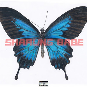 SHARLING BABE