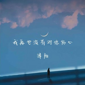 我再也没有对你伤心 (呼呼呼版)