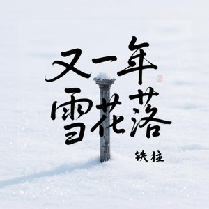 又一年雪花落 (节奏合唱版)