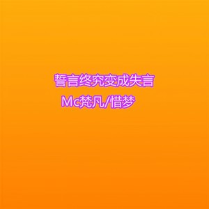 誓言终究变成失言