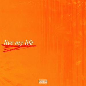 Live My Life (feat. KRJJ) [Explicit]