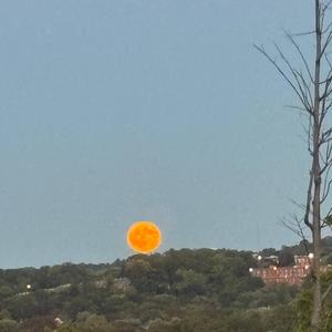 Preventable Destruction (Explicit)