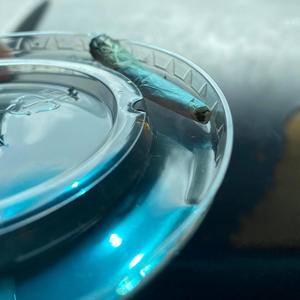 double baked (feat. Pc3) (Explicit)