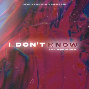 I Don't Know (feat. Brandon Chase)
