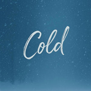 Cold (feat. Flyy Armani)