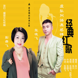 虚拟网络真感情 (广场舞版)
