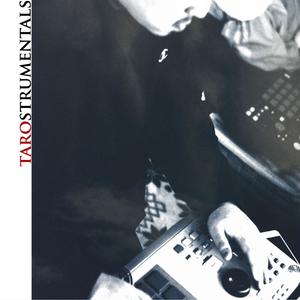 End of The Night (feat. Aru-2) (Tarostrumental Remix)