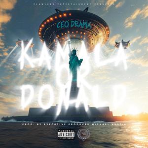 KAMALA OR DONALD (Radio Edit)