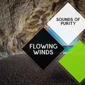 Flowing Winds - Sounds of Purity