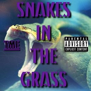 Snakes In The Grass (Explicit)