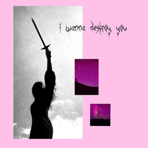 i wanna destroy you (Explicit)