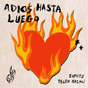 ADIOS HASTA LUEGO
