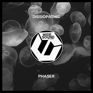 Phaser (Original Mix)
