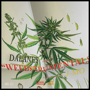 Weedstrumentals (Explicit)