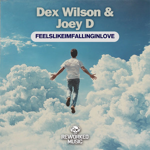 Feelslikeimfallinginlove (Extended Mix)
