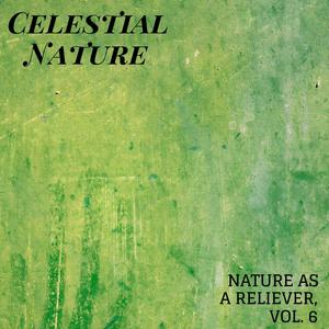 Celestial Nature - Nature As A Reliever, Vol. 6