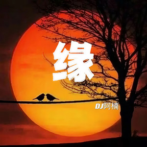电子琴-缘-放松解压 (电子琴版)