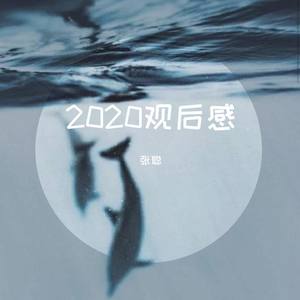 毒猫毒猫-2020观后感 (张聪 remix)