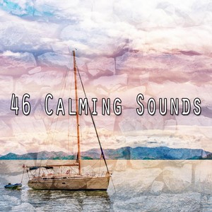 Rain In The Tree Tops