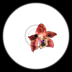 Use Me To Make It Sexy