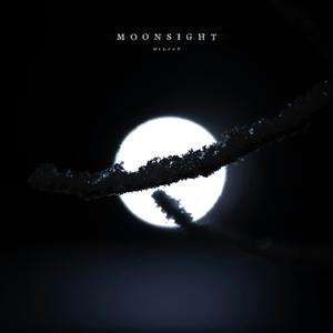 Wiljan - Moonsight
