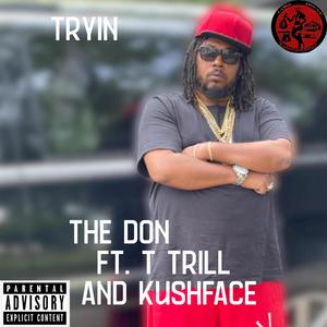 Tryin (feat. T Trill & Kushface) [Explicit]