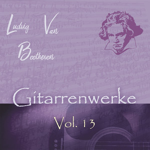 Gitarrenwerke, Vol. 13