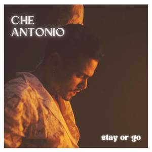 Stay or Go
