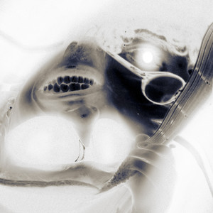 el pasado no ha pasado (Explicit)