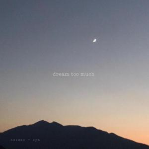 Dream Too Much (feat. $yn)