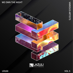 We Own The Night V.A, Vol. 5 (Explicit)