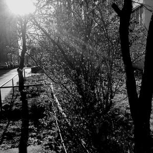 everything is meaningless (Instrumental)