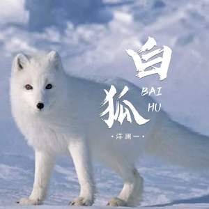 洋澜一 - 白狐