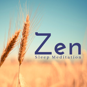 Zen Sleep Meditation