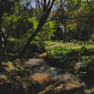 Qué sentido tiene esto