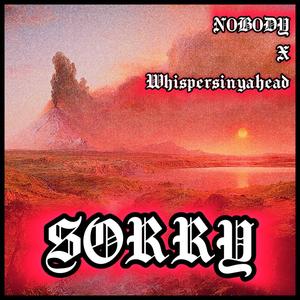 SORRY (feat. Whispersinyahead) [Explicit]