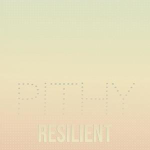 Pithy Resilient