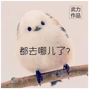 都去哪儿了